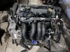Ford Focus 1 1.6 komple motor 