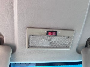 Chery Taxim tavan lambası 